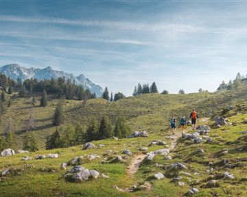 Scheffau_Steinbergalm_Wilder Kaiser