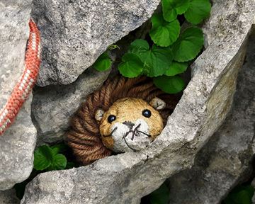 Klettern_König der Löwen_Scheffau_Maria Luise Handl (1)_1.jpg