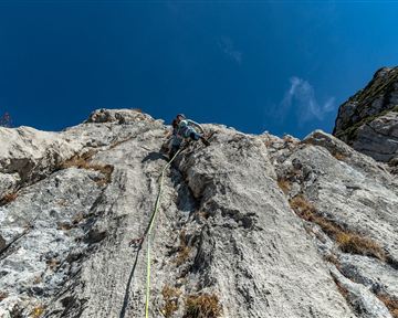 Scheffau_Treffauer_RWI_Wilder Kaiser