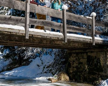 Scheffau_Winterwandern_Brücke_Bach_Wilder Kaiser