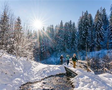Scheffau_Winterwandern_Rehbach_Wilder Kaiser