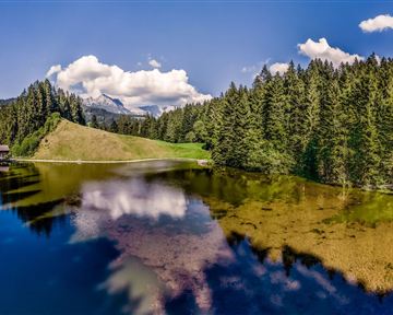 Söll_Moorsee_Wilder Kaiser