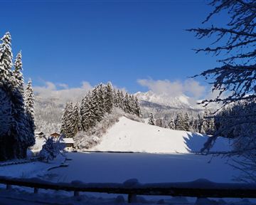 Söll_Moorsee_Wilder Kaiser