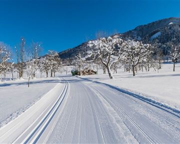 Söll_Schattseit_Winter_Wilder Kaiser