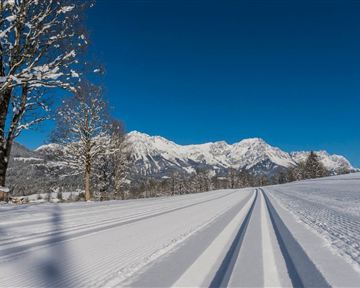Söll_Schattseitloipe_Wilder Kaiser
