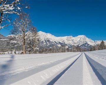 Schattseitloipe_Soell_Foto Martin Raffeiner (4).jpg