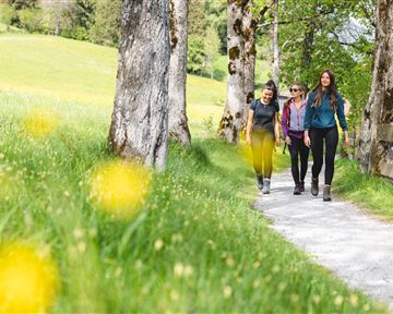 Wandern_Sunnseitweg Söll_Frühling_April24_Foto_Mathäus Gartner (7).jpg