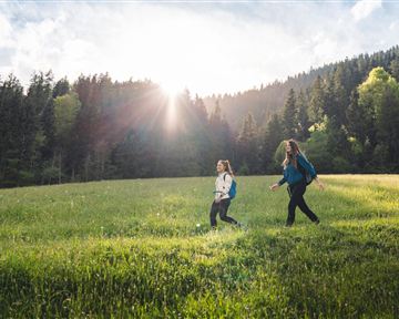 Söll_Wandern Sunnseitweg Söll_Wilder Kaiser
