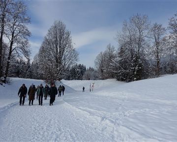 Genusswanderung_24.01 (81).jpg